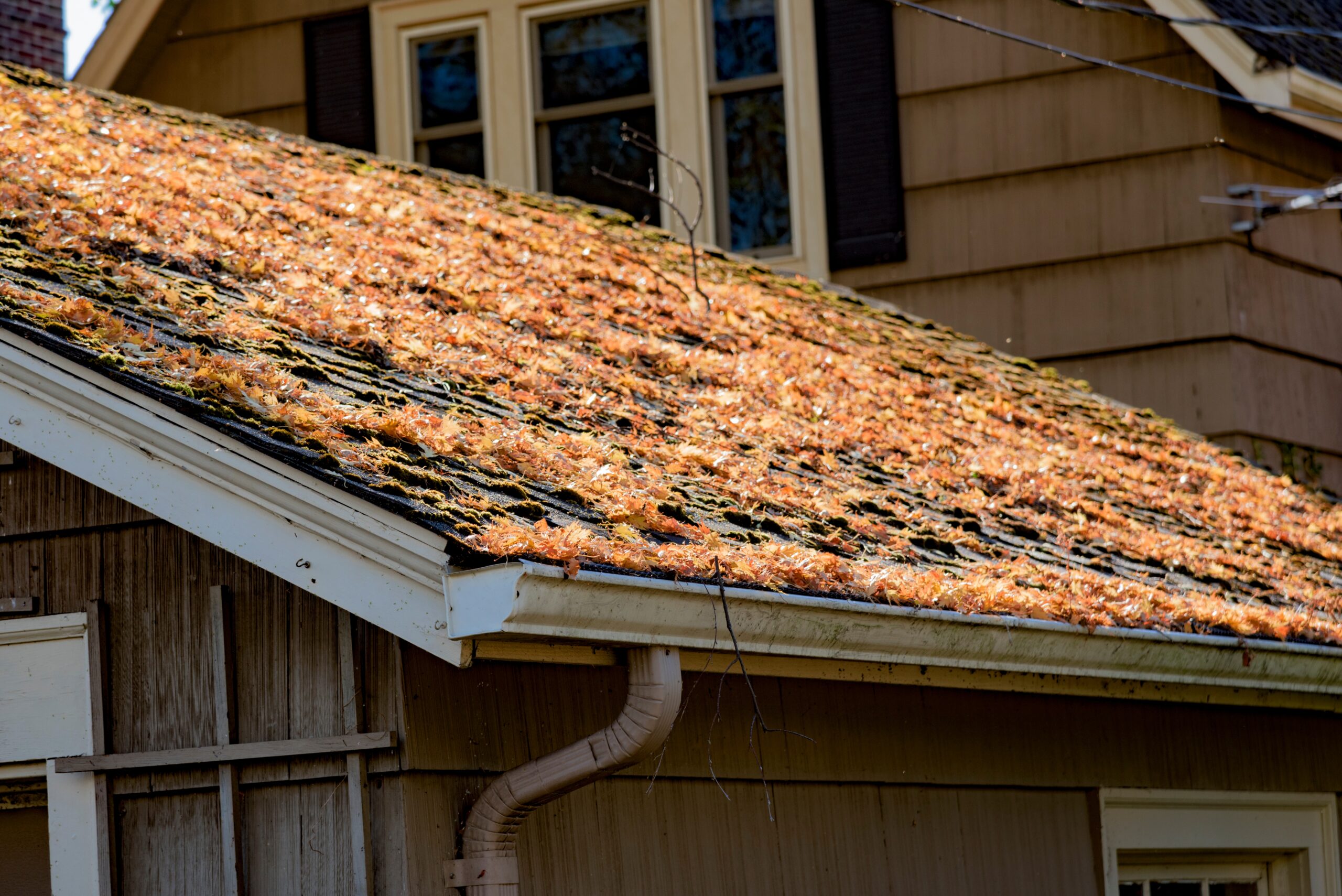 spring roof prep, spring roof maintenance, spring roof damage, Austin